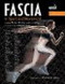 Fascia in Sport and Movement
