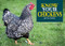 Know Your Chickens (Old Pond Books) 44 Hen Breeds from Ancona