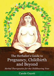 Herbalist's Guide to Pregnancy Childbirth and Beyond