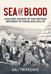 Sea of Blood: A Military History of the Partisan Movement