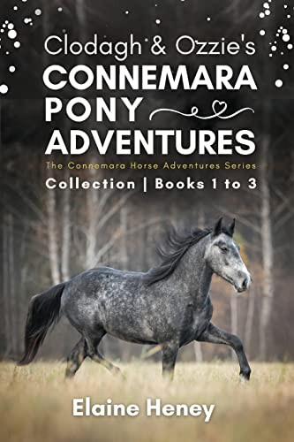 Clodagh & Ozzie's Connemara Pony Adventures | The Connemara Horse