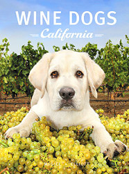 Wine Dogs California 3