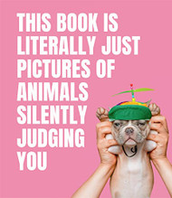 This Book is Literally Just Pictures of Animals Silently Judging