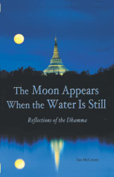 Moon Appears When the Water Is Still