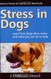Stress in Dogs