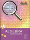 Algebra Connections Version 3.0