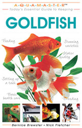 Today's Essential Guide to Keeping Goldfish