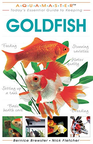 Today's Essential Guide to Keeping Goldfish