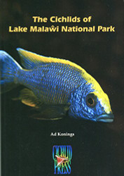Cichlids of Lake Malawi National Park