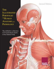 Illustrated Portfolio of Human Anatomy and Pathology