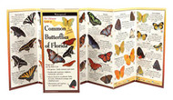 Common Butterflies of Florida: Folding Guide (Foldingguides)