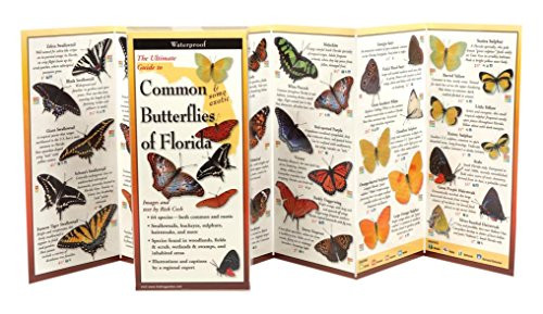 Common Butterflies of Florida: Folding Guide (Foldingguides)