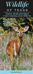 Wildlife of Texas Tracks Scats and Signs A Guide to Interpreting