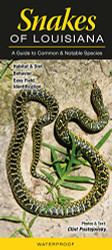 Snakes of Louisiana: A Guide to Common & Notable Species