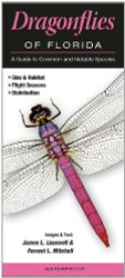 Dragonflies of Florida: A Guide to Common & Notable Species