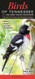 Birds of Tennessee including The Great Smokey Mountains