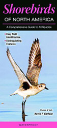 Shorebirds of North America