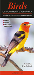 Birds of Southern California: A Guide to Common & Notable Species