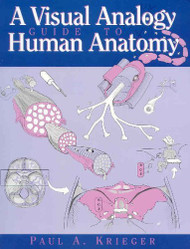 Visual Analogy Guide To Human Anatomy