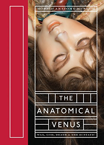 Anatomical Venus: Wax God Death & the Ecstatic