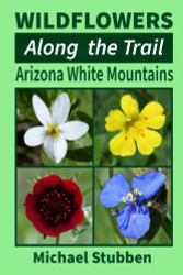 Wildflowers Along The Trail: Arizona White Mountains