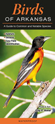 Birds of Arkansas: A Guide to Common and Notable Species