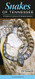 Snakes of Tennessee (Guide to Common & Notable Species)