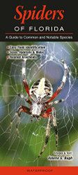 Spiders of Florida: A guide to Common and Notable Species