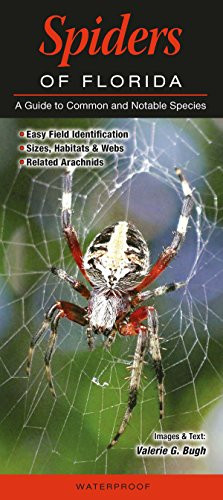 Spiders of Florida: A guide to Common and Notable Species