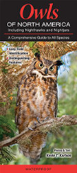 Owls of North America including Nighthawks and Nightjars