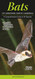 Bats of Western North American