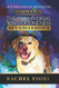 Mason's Way: The 20 Universal Ways of Oneness Taught By The Spirit