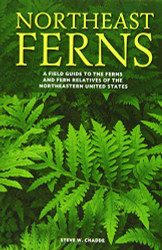 Northeast Ferns: A Field Guide to the Ferns and Fern Relatives
