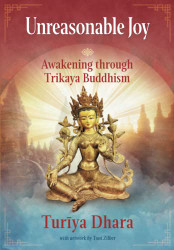 Unreasonable Joy: Awakening through Trikaya Buddhism