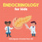 Endocrinology for Kids