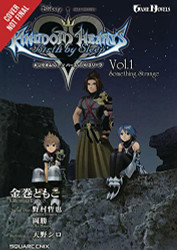 Kingdom Hearts Birth by Sleep: The Novel (light novel)