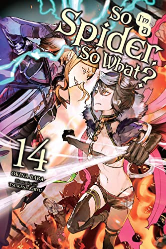 So I'm a Spider So What? volume 14