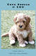 Your Doodle & You: A Guide to Breed Info Basic Care & Training