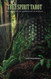 Tree Spirit Tarot