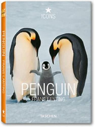 Frans Lanting Penguin