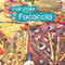 Fairytale Focaccia: Bread baking book about the famous Italian flat