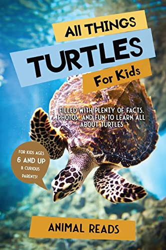 All Things Turtles For Kids