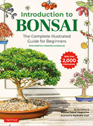 Introduction to Bonsai: The Complete Illustrated Guide for Beginners