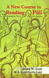 New Course in Reading Pali: Entering the Word of the Buddha