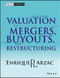 Valuation For Mergers Buyouts And Restructuring 2Nd Ed