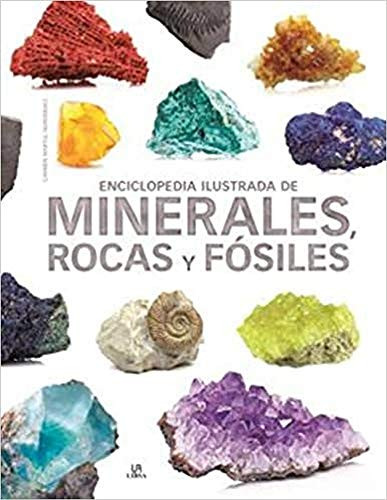 Enciclopedia Ilustrada de Minerales Rocas y Fosiles - Grandes