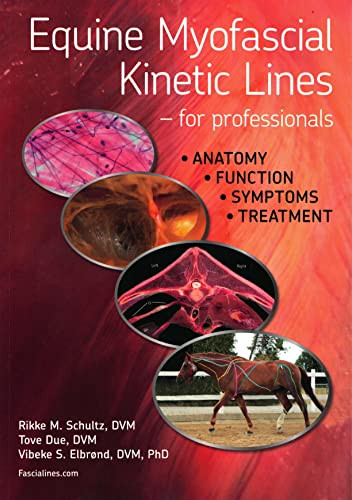 Equine Myofascial Kinetic Lines