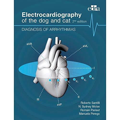 Electrocardiography of the dog and cat. Diagnosis of arrhythmias. II