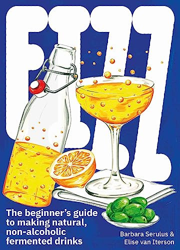 FIZZ: A Beginners Guide to Making Natural Non-Alcoholic Fermented