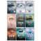 Shatter Me Series Collection 9 Books Set By Tahereh Mafi